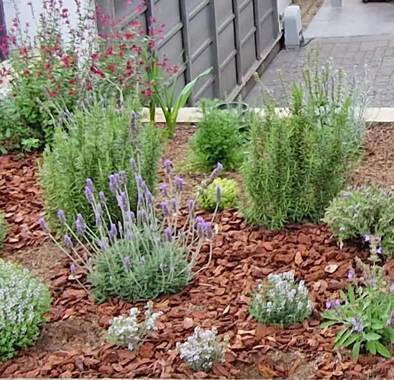 jardin en L'Ametlla del Vallès