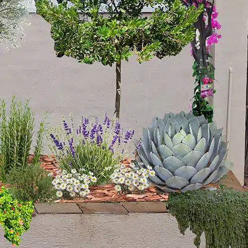 fotomontaje de jardín en Riells i Viabrea