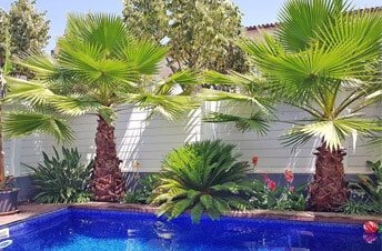 Jardín de piscina en una residencia en Sant Quirze del Vallès, Vallès Occidental.