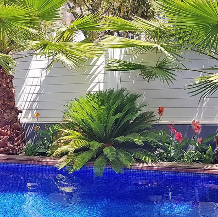 jardín en Sant Quirze del Vallès