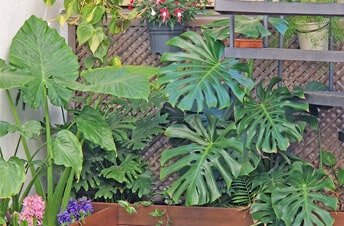 Paisajismo en Sabadell