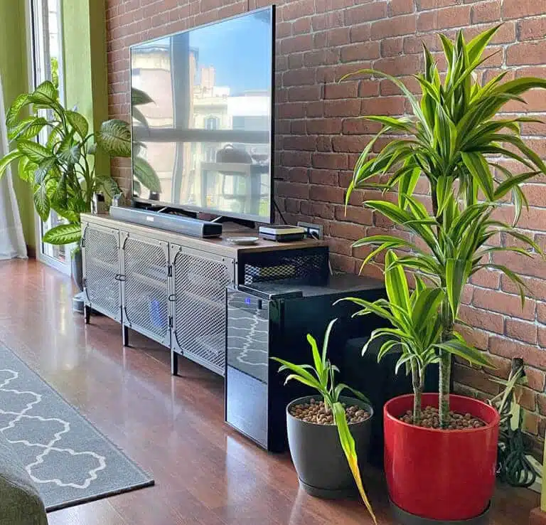 Paisajismo de interior en Barcelona