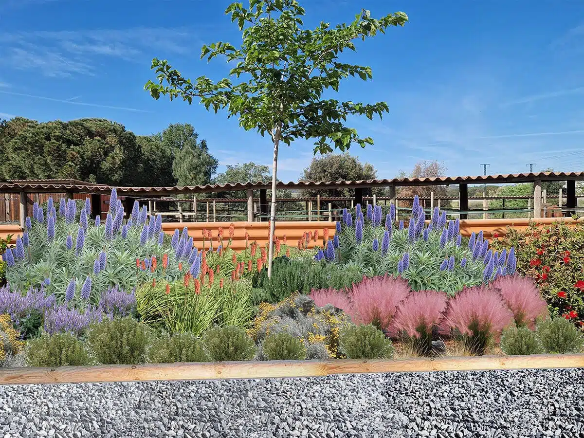 Fotomontaje de la entrada de A Cavall pel Montseny