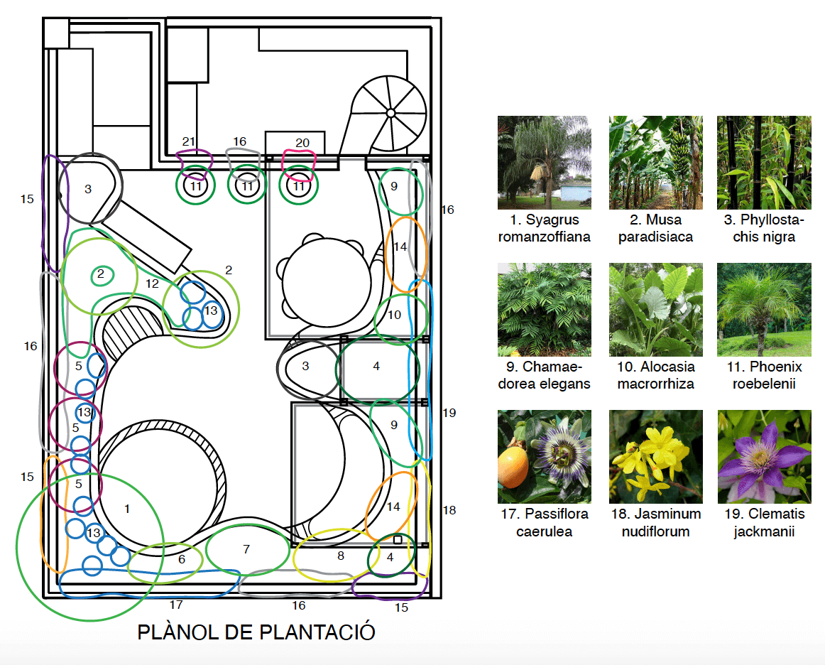 diseño tecnico de un jardín