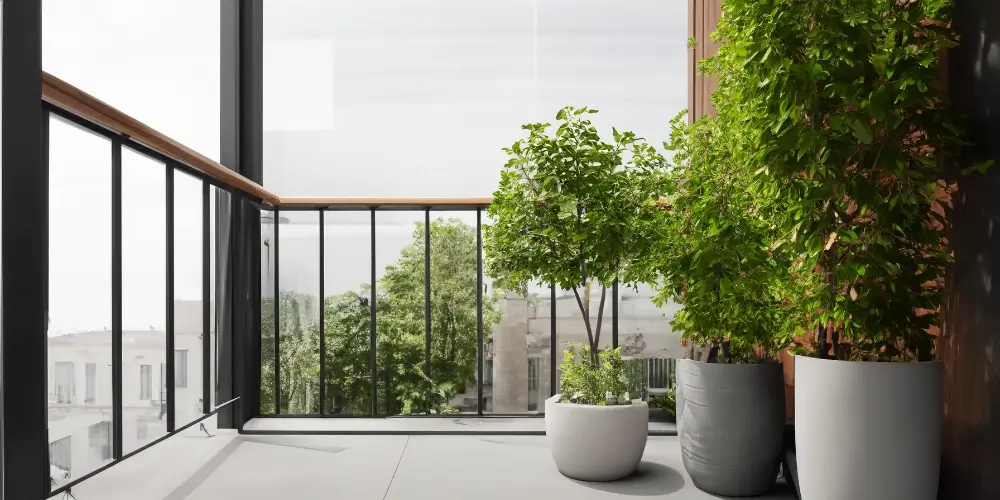 Imagen de un balcon con plantas