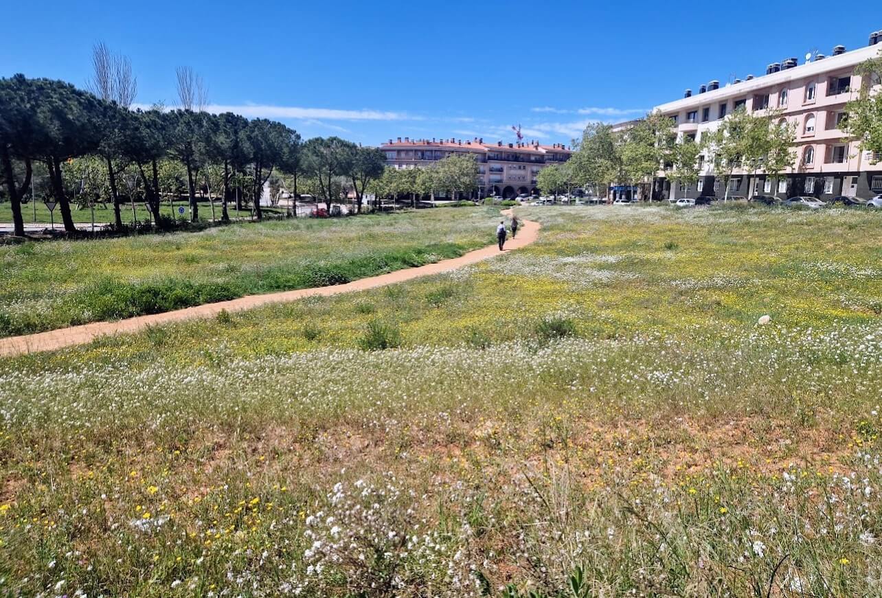 Pradera con flores silvestres