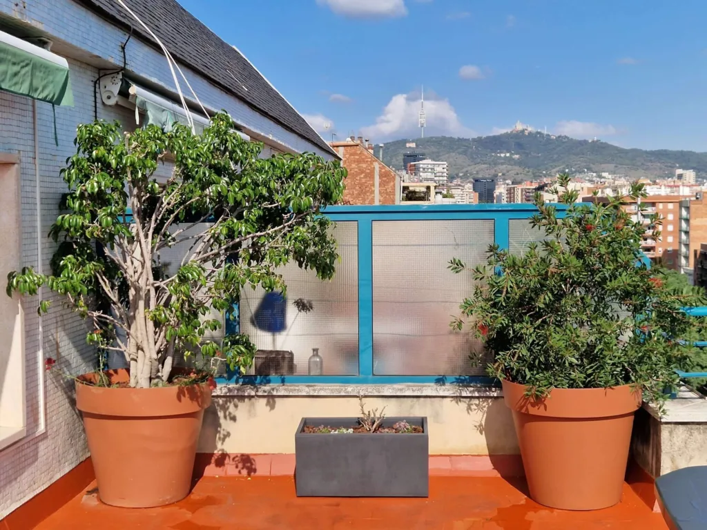 Proyecto de paisajismo de una terraza en Sants-Badal, Barcelona. Macetas y jardineras con plantas con flores, arbustos, frutales y trepadoras.
