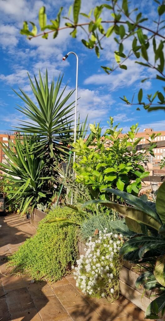 Ginesta Jardins: 50 tonos de verde