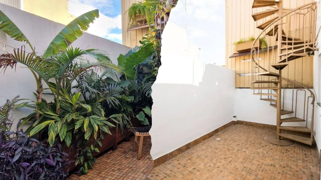 Antes y despues de un proyecto de paisajismo que transforma un patio en un minibosque tropical