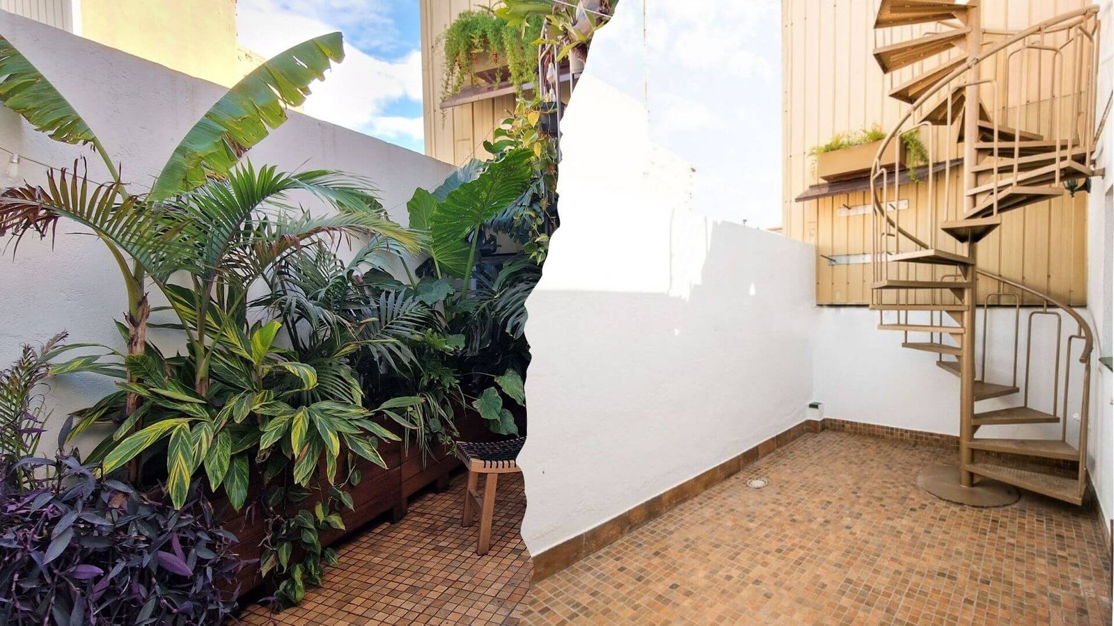 Antes y despues de un proyecto de paisajismo que transforma un patio en un minibosque tropical